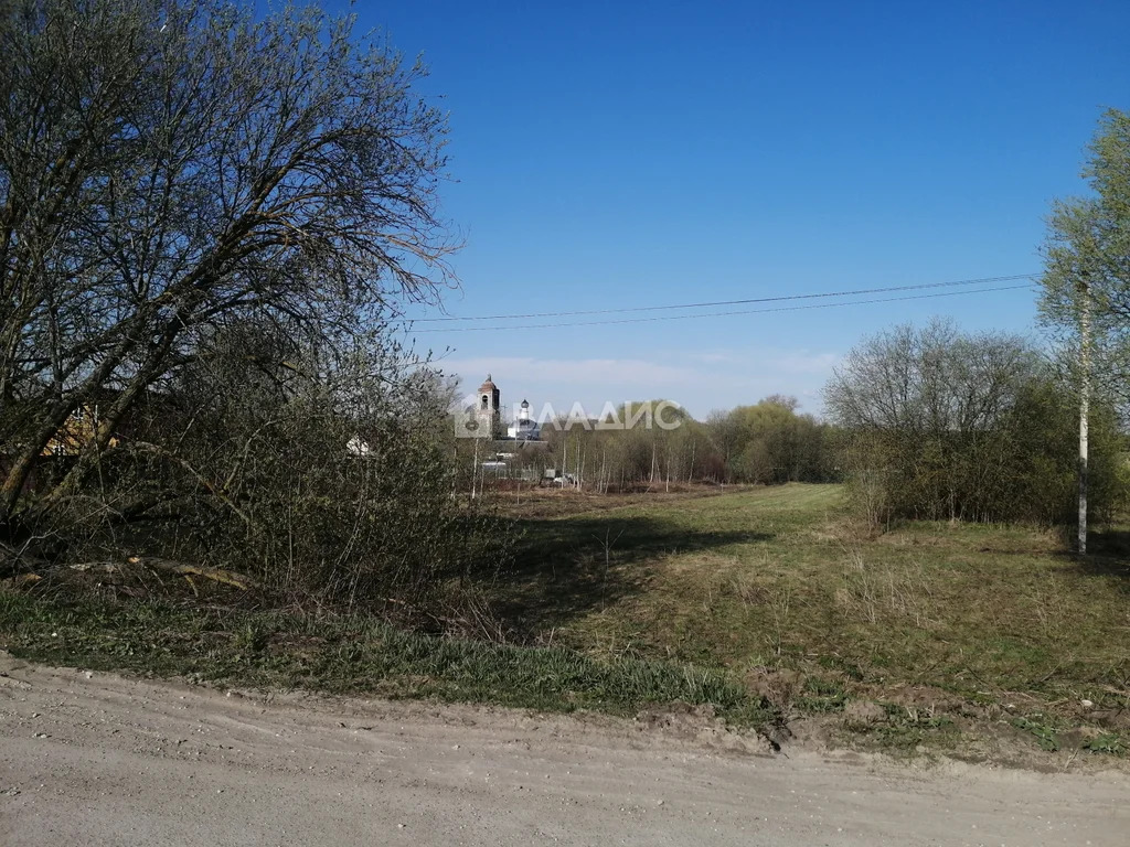 Собинский район, село Семёновское,  земля на продажу - Фото 3