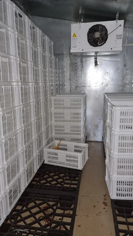 Продажа участка, Барышево, Выборгский район - Фото 18