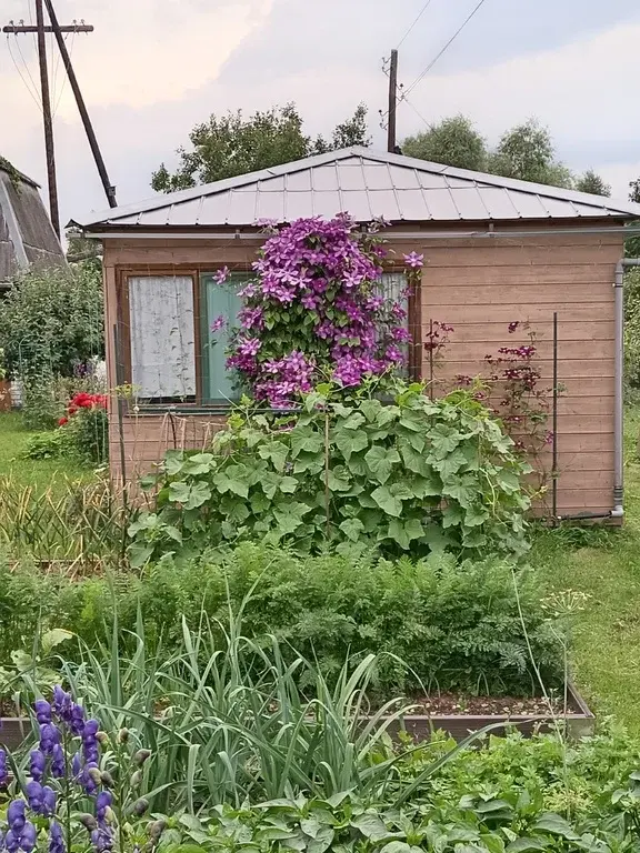 Продам дом - Фото 21