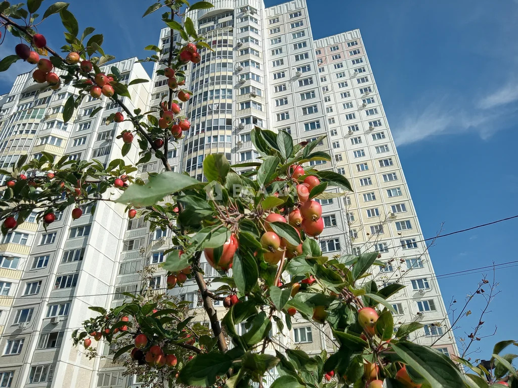 городской округ Мытищи, Мытищи, Юбилейная улица, д.16, 3-комнатная ... - Фото 12