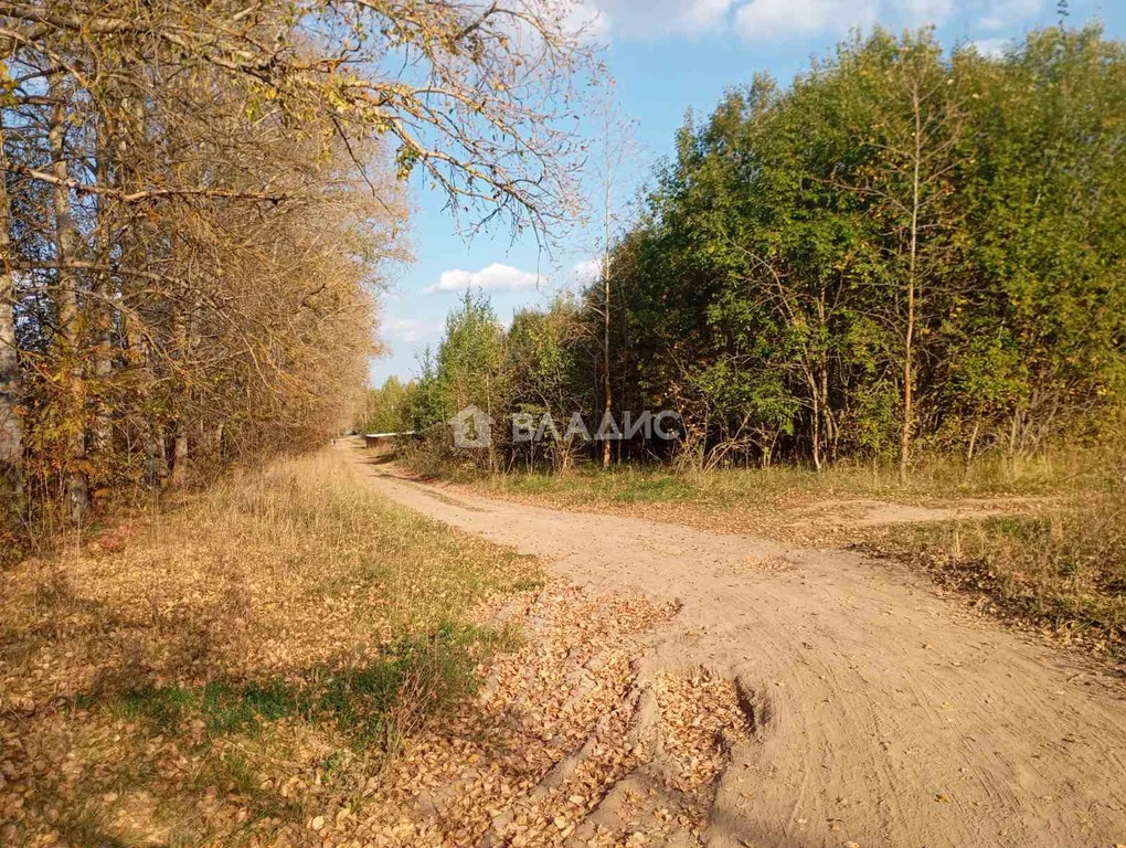 Суздальский район, СНТ Родник,  земля на продажу - Фото 6