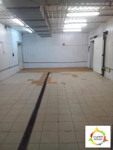 Сдается действующий, оснащенный мясоперерабатывающий завод - Фото 4