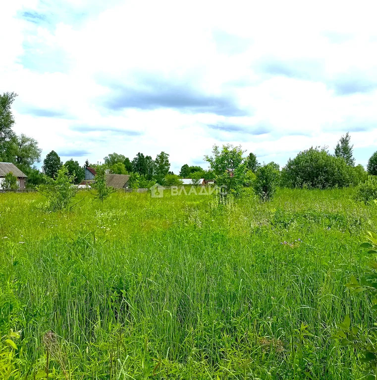 Боровский район, деревня Медовники,  земля на продажу - Фото 1