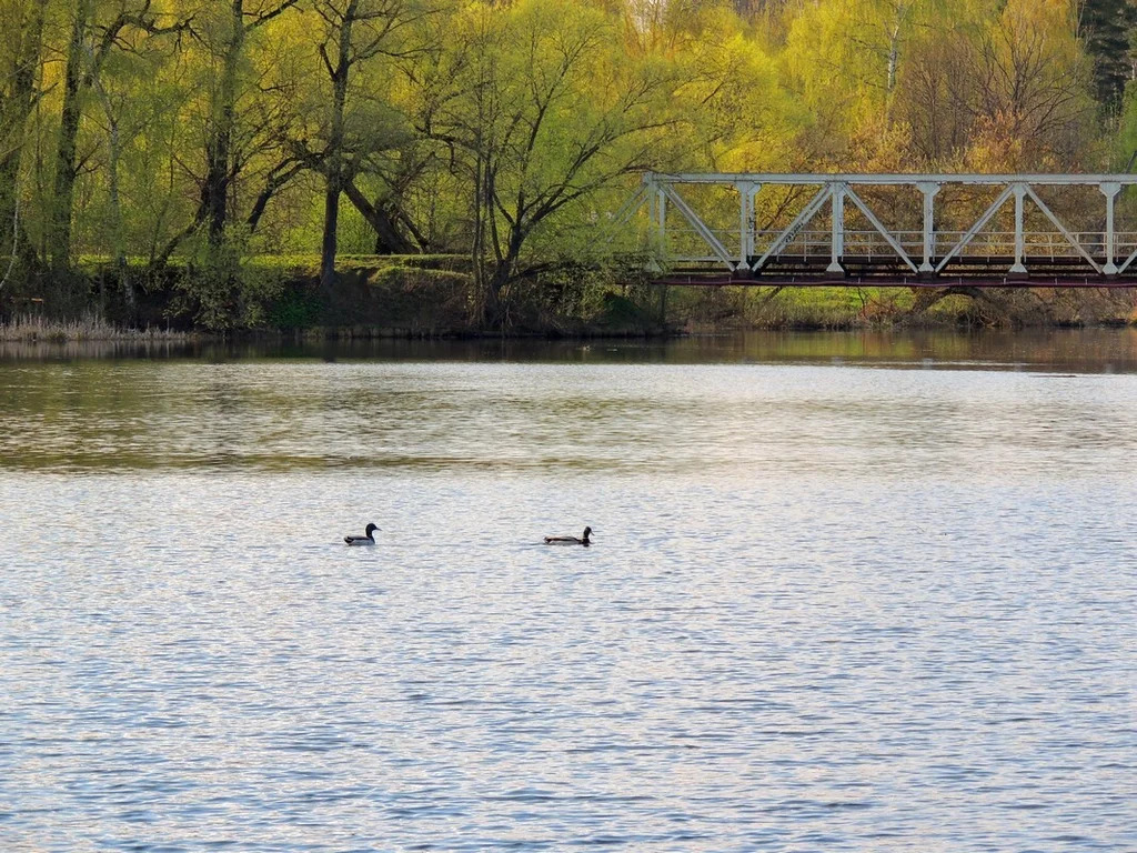 Продажа дома, Николо-Урюпино, Красногорский район, ул. Гагарина - Фото 25