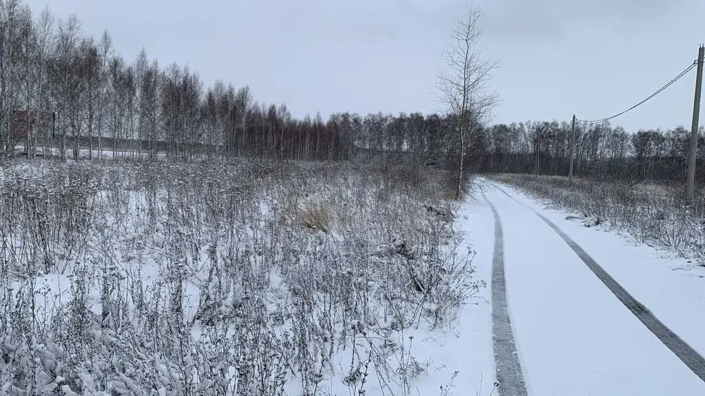 Продам участок в коттеджном поселке Раменские дворики - Фото 3