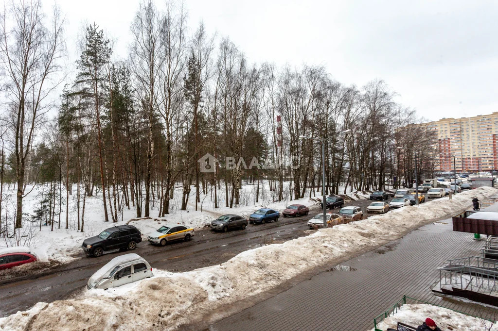 городской округ Балашиха, Балашиха, улица Дмитриева, д.20, 1-комнатная ... - Фото 27