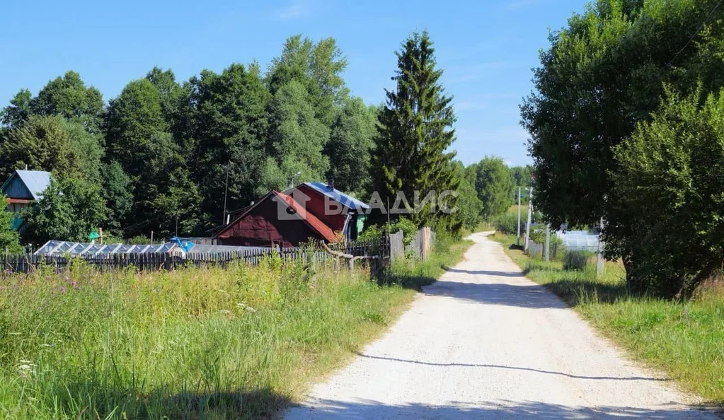 Судогодский район, деревня Мичурино, земля на продажу - Фото 4