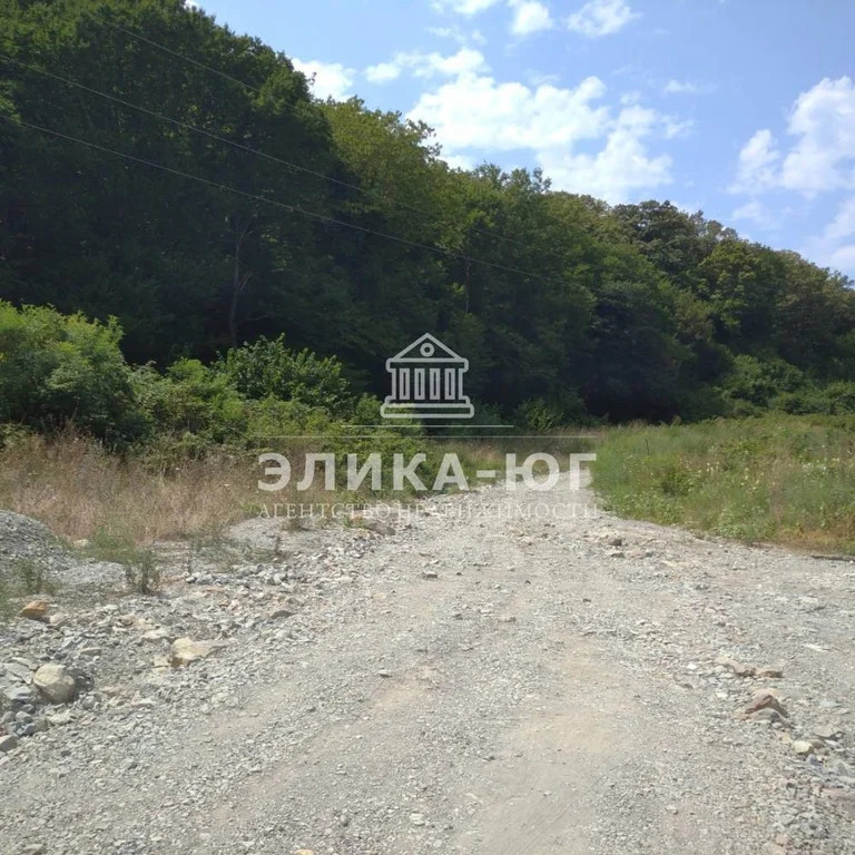 Продажа участка, Пляхо, Туапсинский район - Фото 12