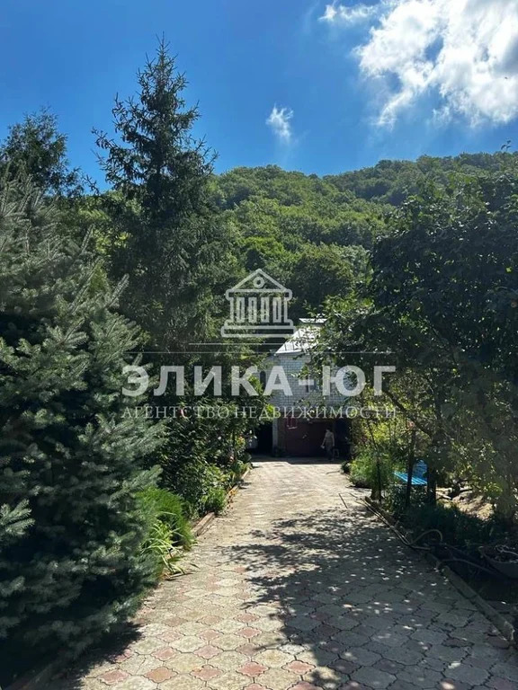 Продажа дома, Бжид, Туапсинский район, Ореховая ул. - Фото 19