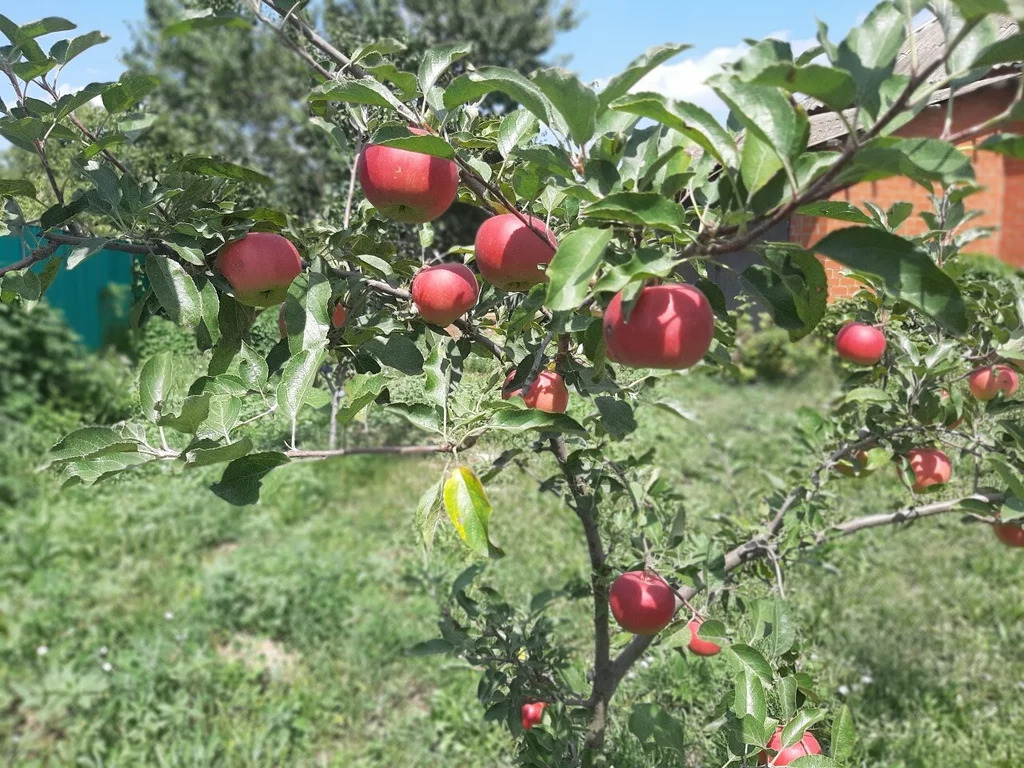 Продажа дома, Полтавская, Красноармейский район, Ул. Д.Бедного - Фото 28