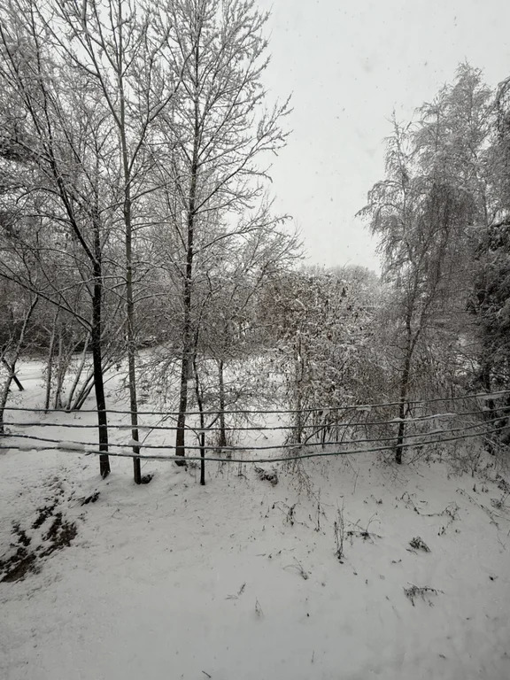 Продажа квартиры, Бердск, ул. Большевистская - Фото 15