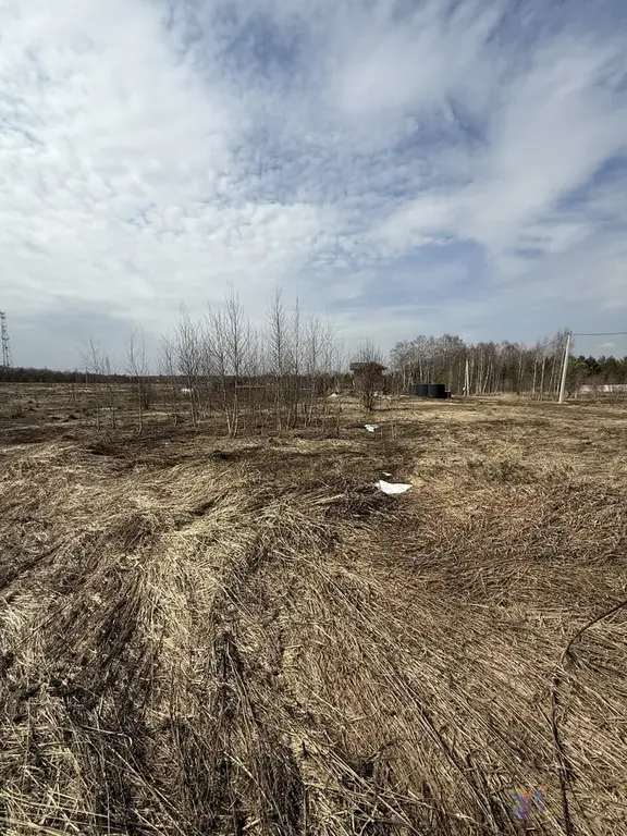 Продаю участок 12 соток под ПМЖ, д. Беспятово, Ступинский район. - Фото 6