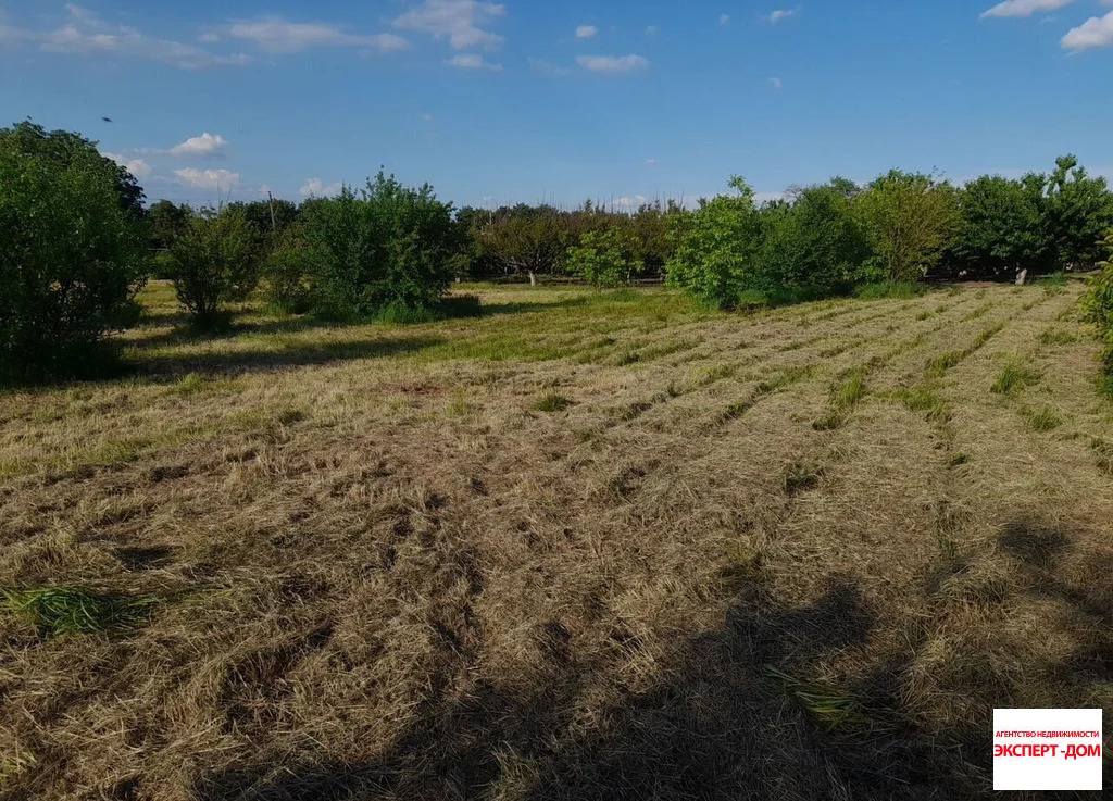 Продажа дома, Никольское, Неклиновский район, ул. Центральная - Фото 14