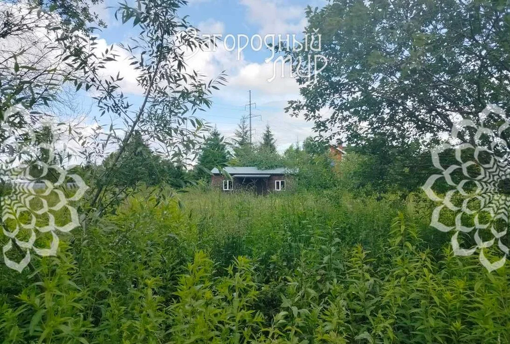 Продам участок, Рублево-Успенское шоссе, 20 км от МКАД - Фото 2