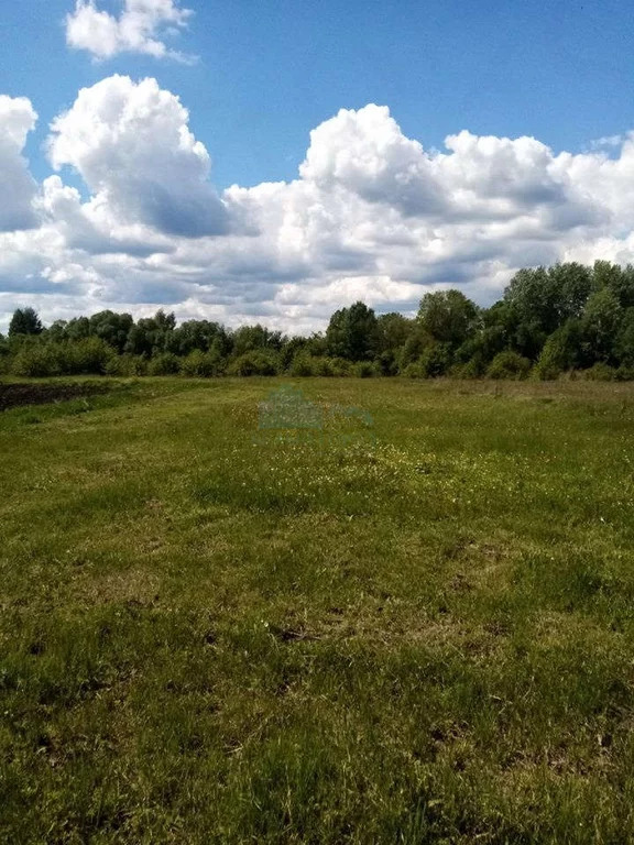 Купить Участок В Никольском Белгородского Района