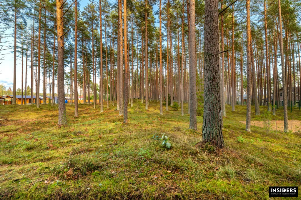 Продажа участка, Пески, Выборгский район, Ивовая ул - Фото 1