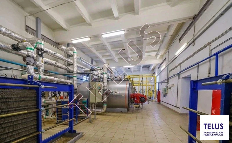 МО, Королев, Пролетарская ул., 4060 м2, Спортивный комплекс (ном. ... - Фото 8