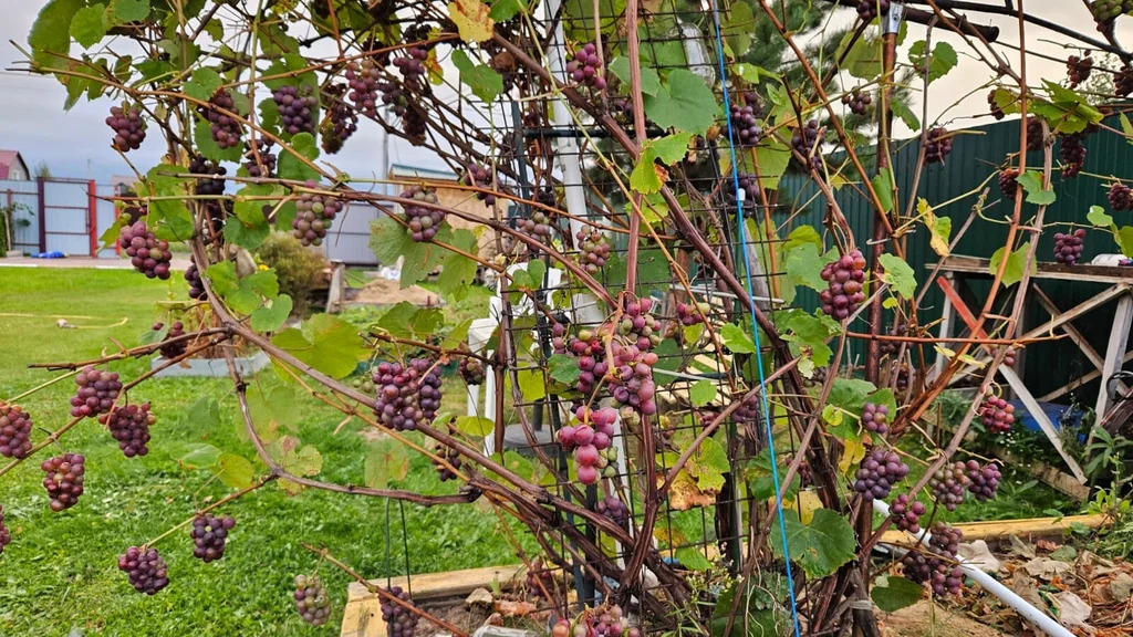 Продажа дома, Раменский район - Фото 22