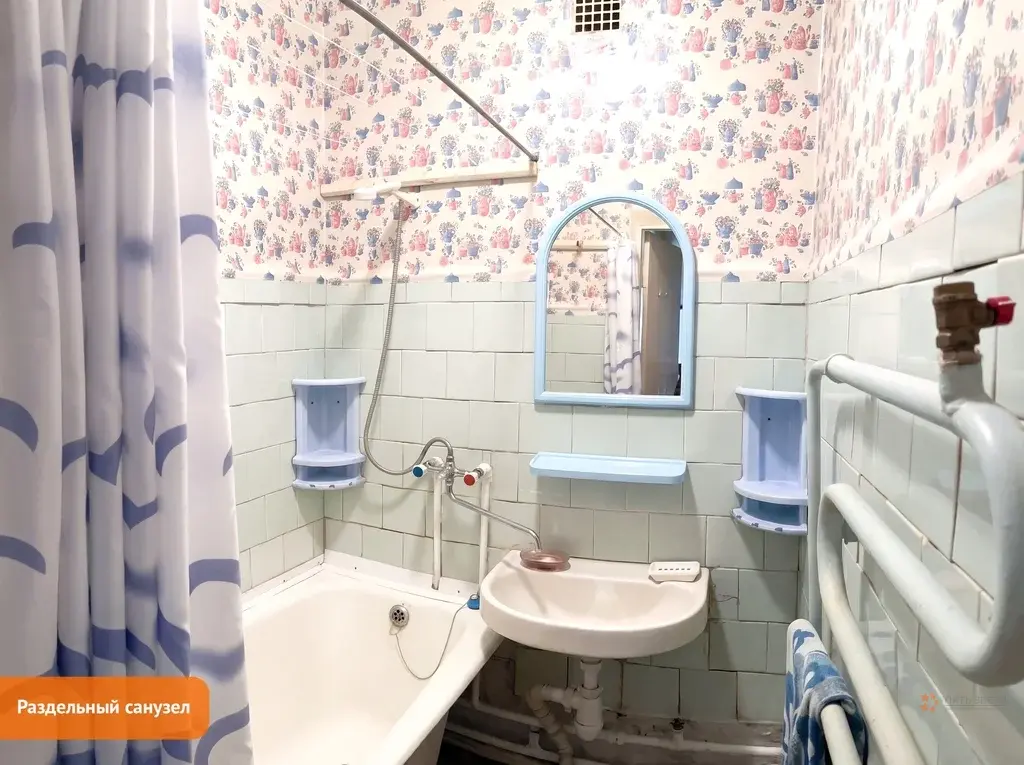 Продается квартира Чепелево деревня, ул. Новая, 4 - Фото 9