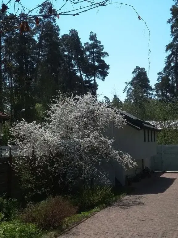 Сдам долгосрочно свой современный эко-дом 12 км от МКАД - Фото 22