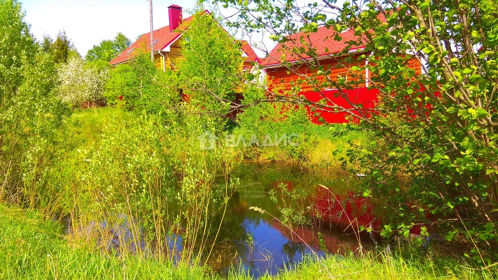 Судогодский район, деревня Райки, дом на продажу - Фото 78