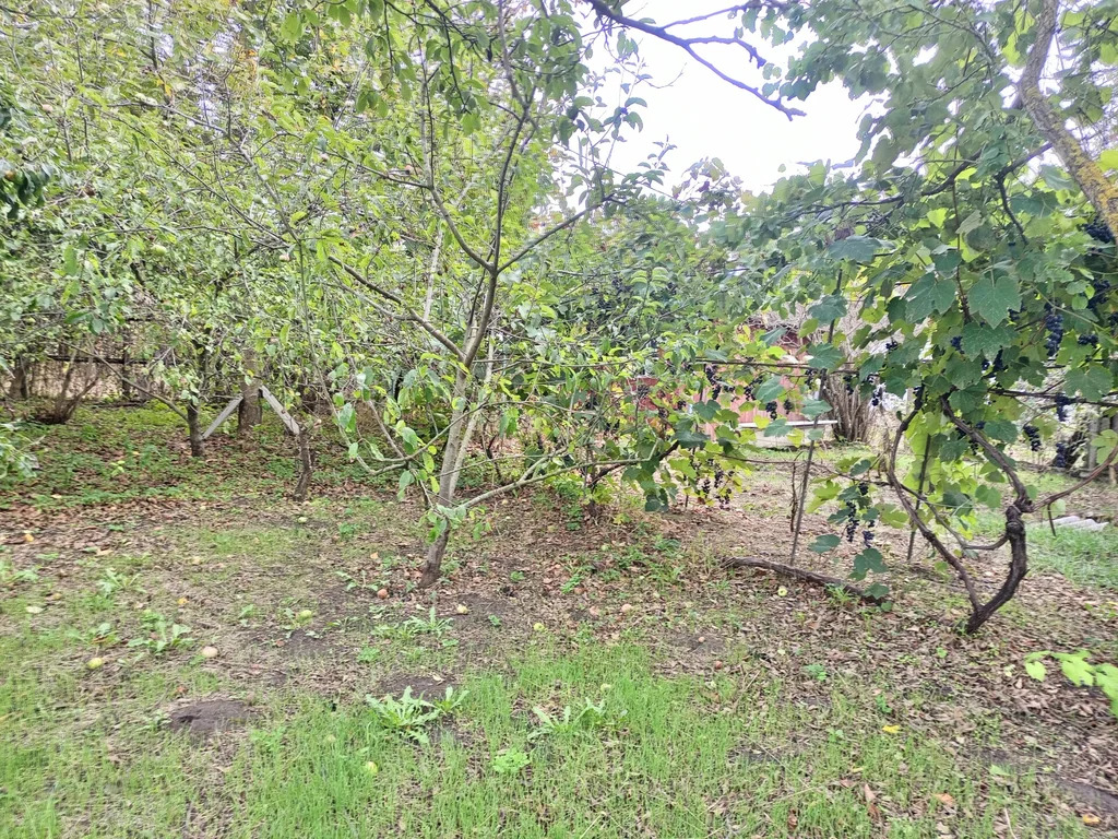 Продажа участка, Темрюк, Темрюкский район, ул. Анджиевского - Фото 8