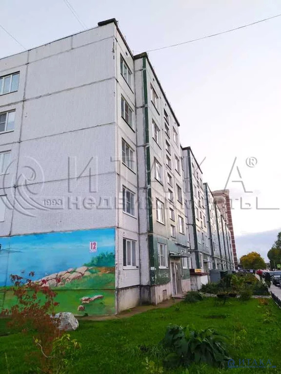 авито тосно недвижимость квартиры 1 комнатные. Смотреть фото авито тосно недвижимость квартиры 1 комнатные. Смотреть картинку авито тосно недвижимость квартиры 1 комнатные. Картинка про авито тосно недвижимость квартиры 1 комнатные. Фото авито тосно недвижимость квартиры 1 комнатные