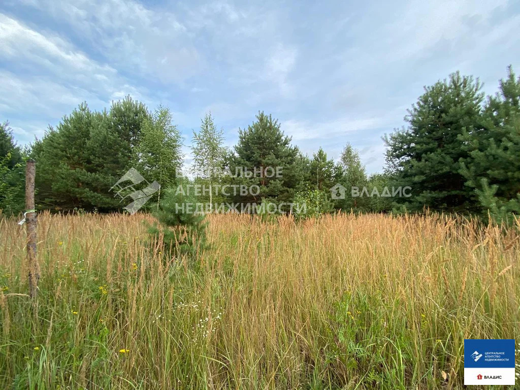 Продажа участка, Фролово, Клепиковский район - Фото 2