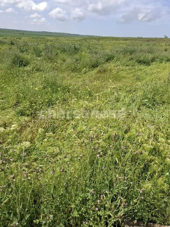 Продажа участка, Равнополье, Симферопольский район, ул. Калинина - Фото 5