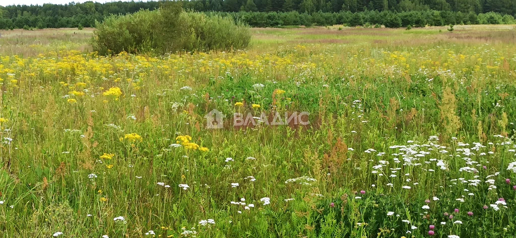 Гусь-Хрустальный район, село Тащилово, Центральная улица,  дом на ... - Фото 25