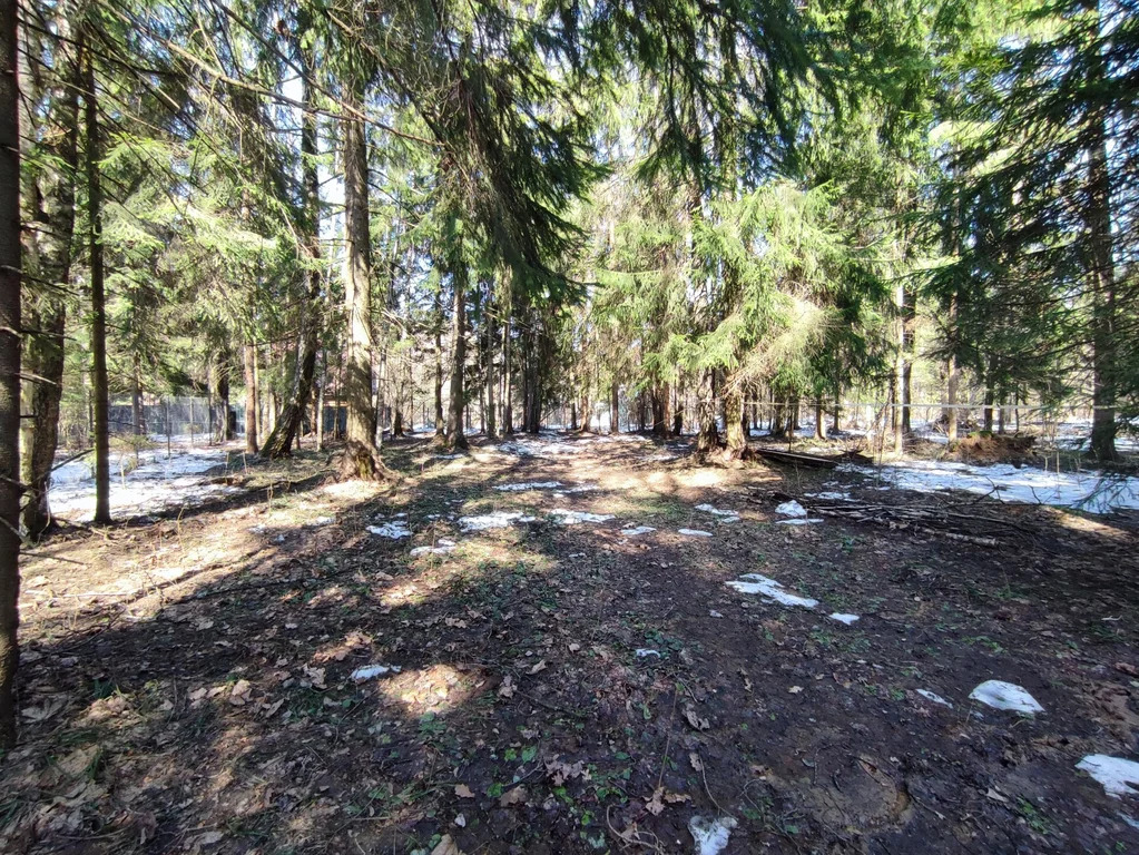 Продажа участка, НИИ Радио, Одинцовский район, Тыльная улица - Фото 2