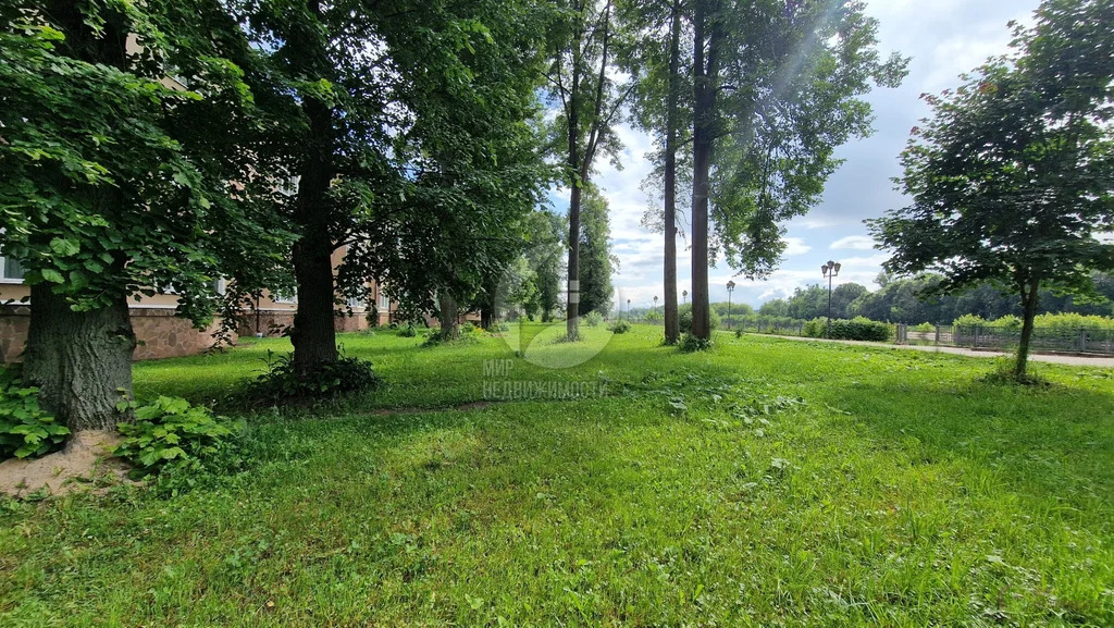 Продажа квартиры, Дмитров, Дмитровский район, ул. Рогачевская - Фото 18