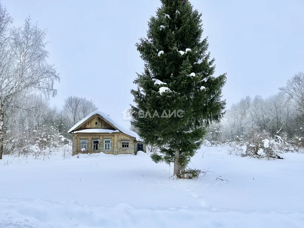 Гаврилово-Посадский район, село Владычино,  дом на продажу - Фото 4