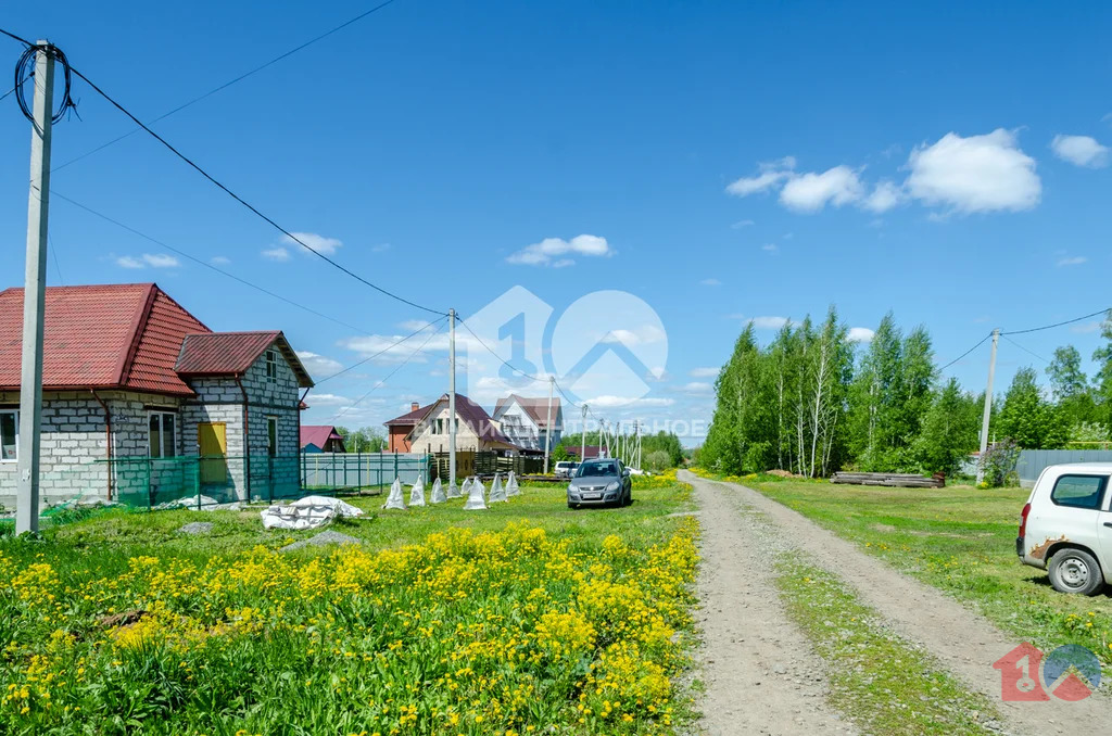 городской округ Новосибирск, Новосибирск, Дзержинский район, ... - Фото 51