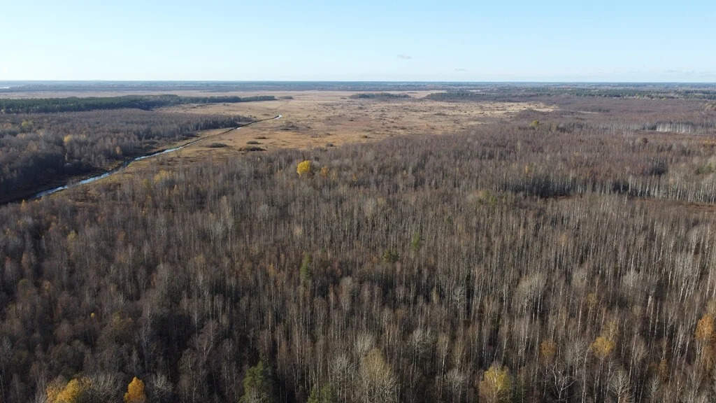 Продажа участка, Барышево, Выборгский район - Фото 12