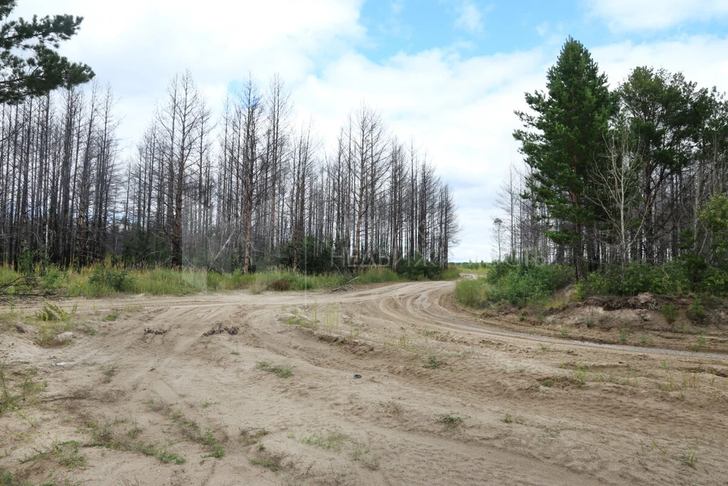 Продажа земельного участка, Тюменский район, Тюменский р-н - Фото 0