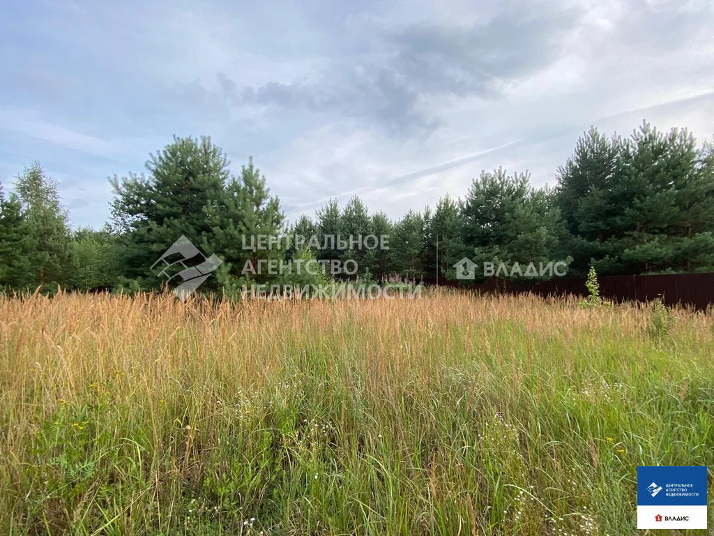 Продажа участка, Фролово, Клепиковский район - Фото 1