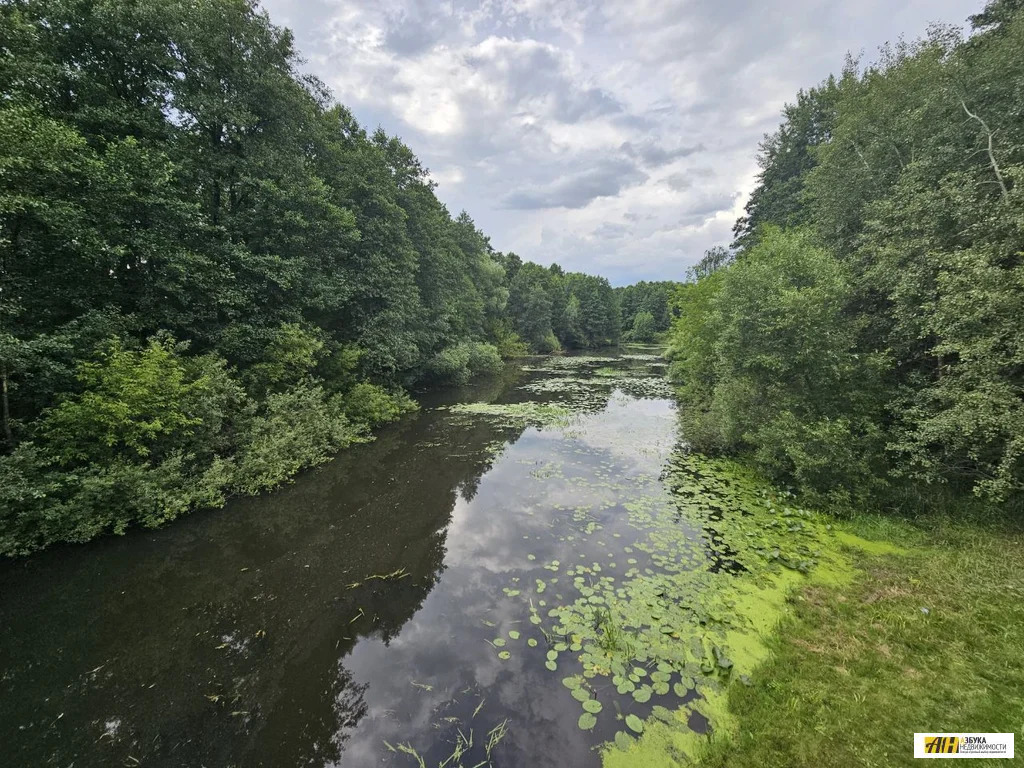 Продажа участка, Старая Купавна, Богородский г. о., улица Мичурина - Фото 9