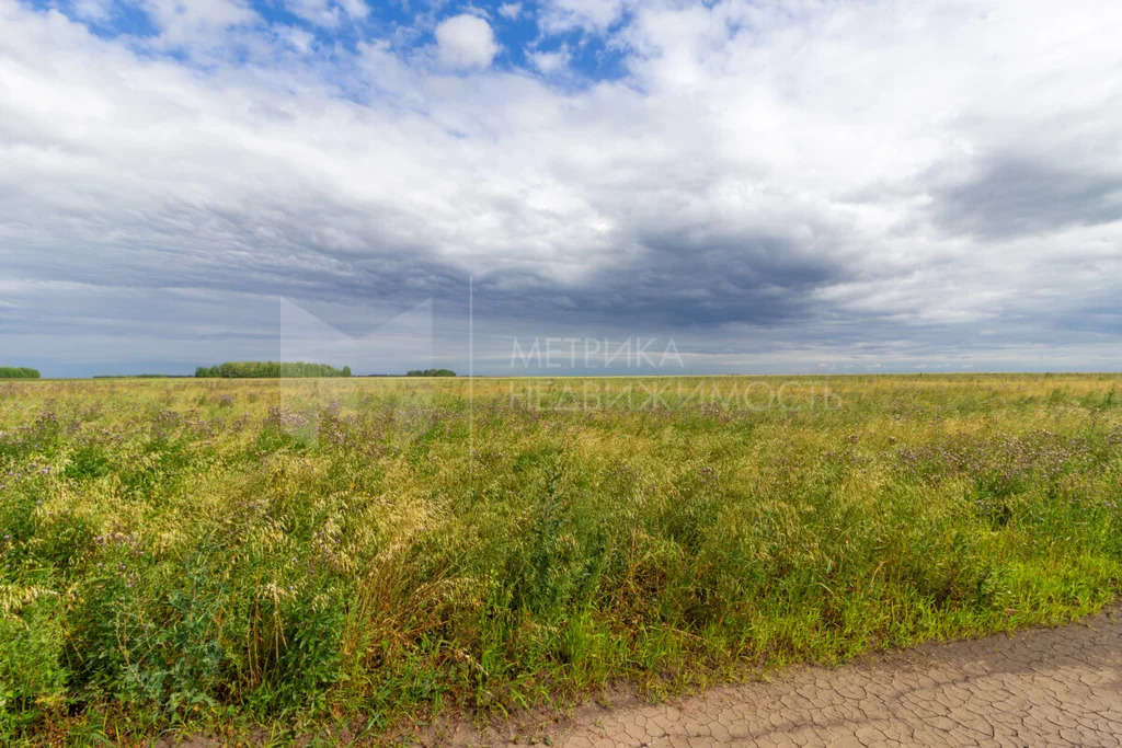Продажа земельного участка, Тюменский район, Тюменский р-н - Фото 7