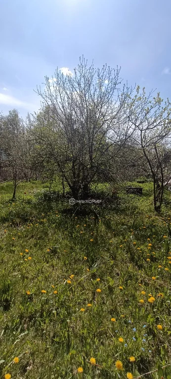 Продажа дома, Восход, Кировский район - Фото 24