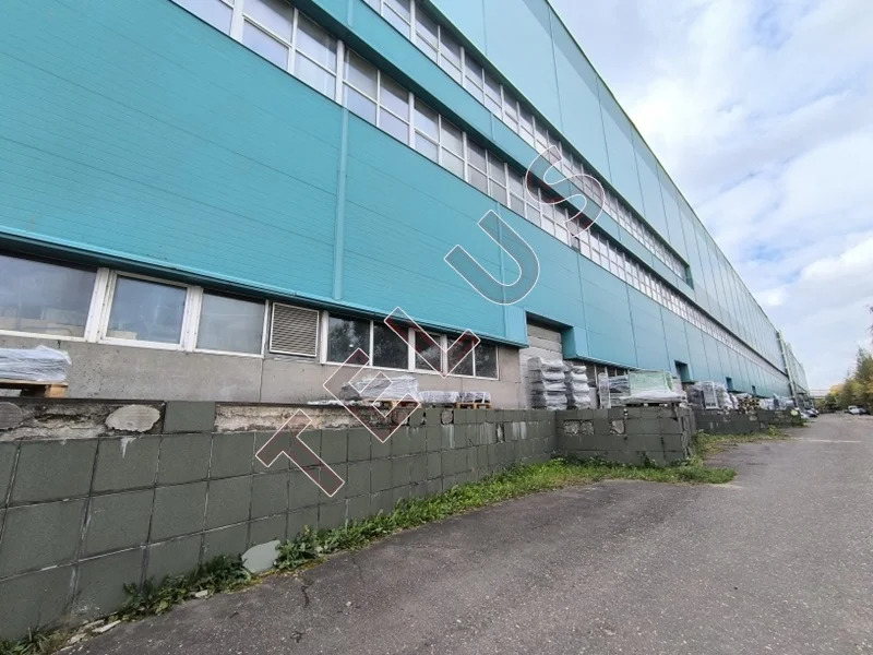 МО, Одинцово г.о., д. Малые Вяземы, 20000 м2, ... - Фото 3