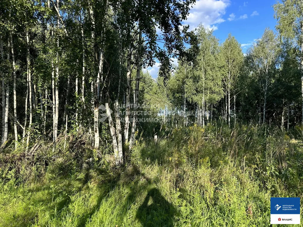 Продажа участка, Дубровичи, Рязанский район - Фото 1