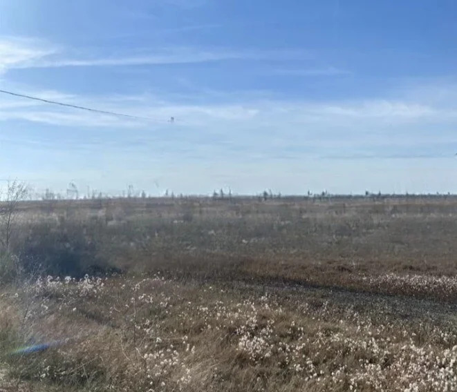 Продажа участка, Голубицкая, Темрюкский район, улица Лиловая - Фото 2
