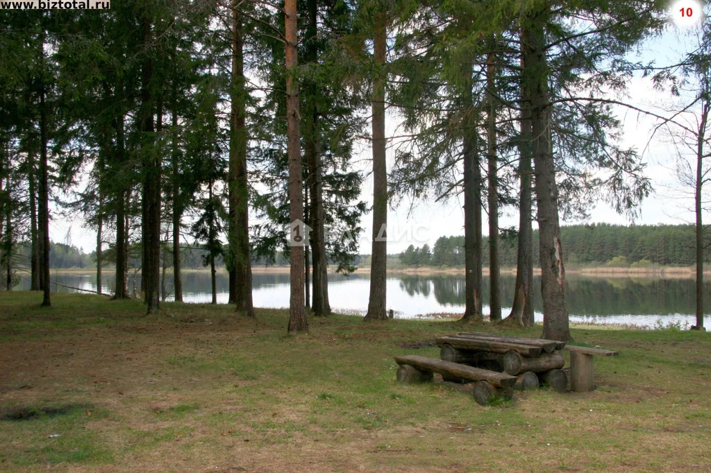 Талдомский городской округ, деревня Петрино,  земля на продажу - Фото 0