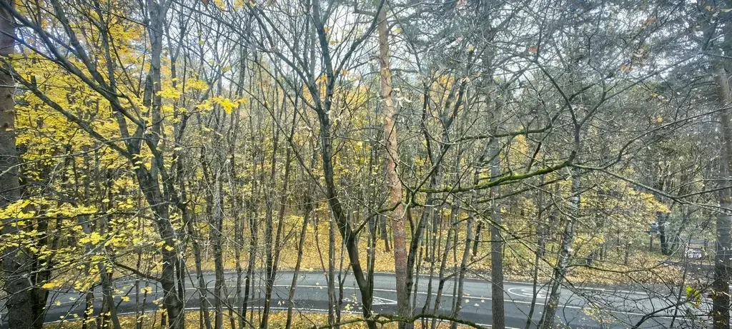 2-к.п.Барвиха, д.14 - Фото 14