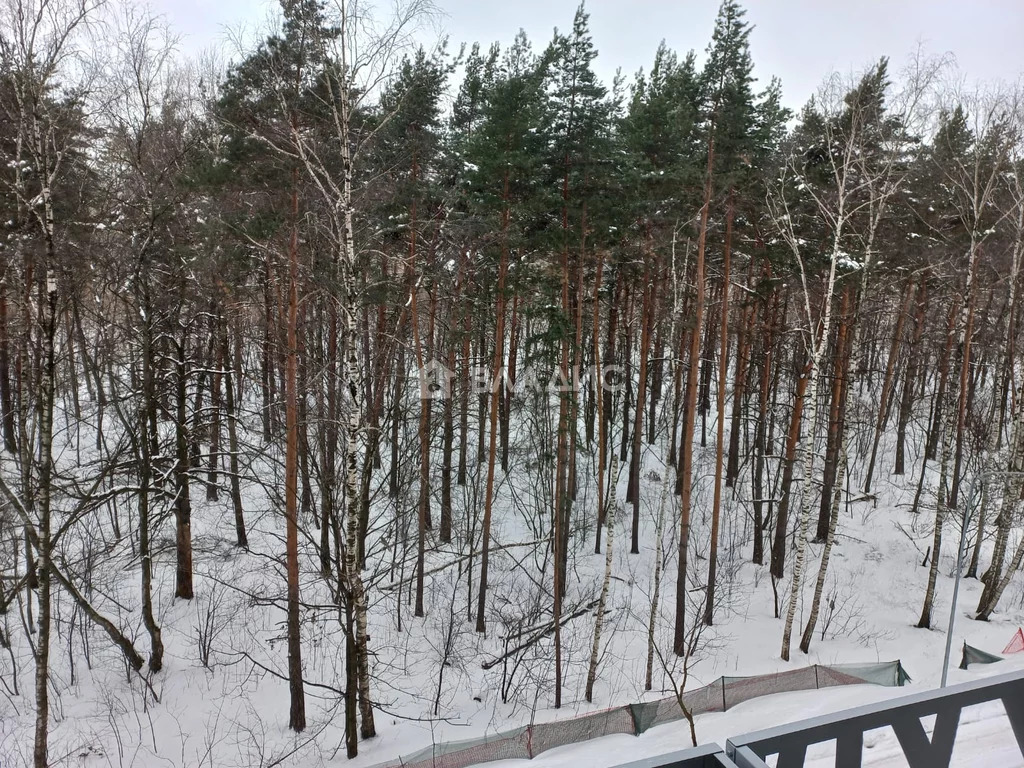 городской округ Котельники, Котельники, Сосновая улица, д.2к1, ... - Фото 10