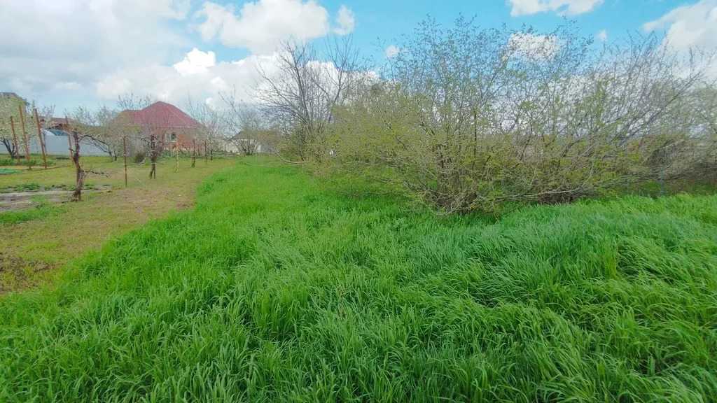 Продажа участка, Курчанская, Темрюкский район, ул. Чапаева - Фото 8