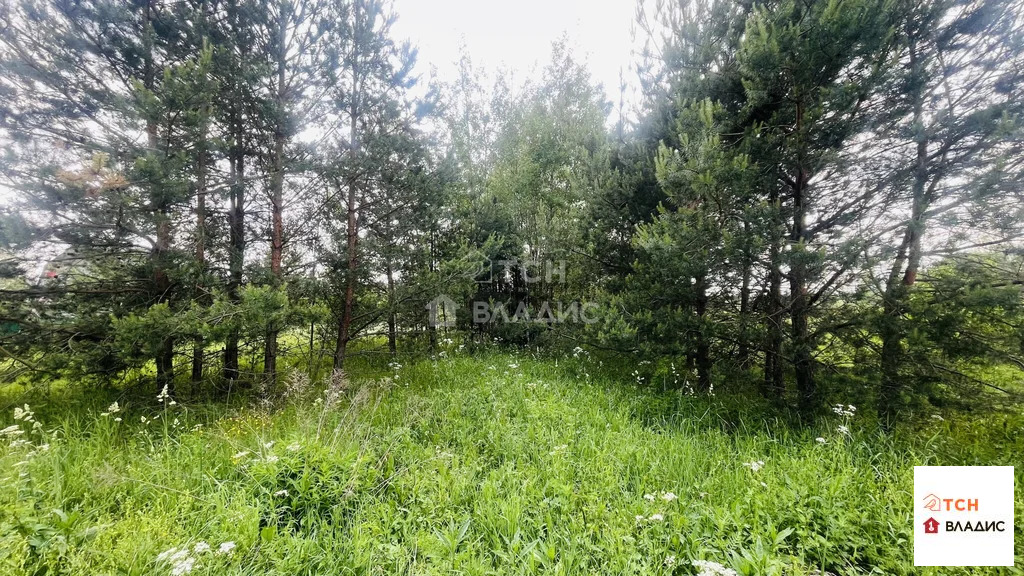 Продажа участка, Ямкино, Богородский г. о. - Фото 1