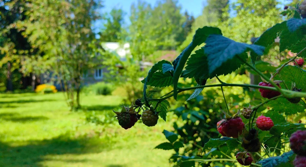 Продажа участка, Апрелевка, Наро-Фоминский район, ул. Кутузова - Фото 16