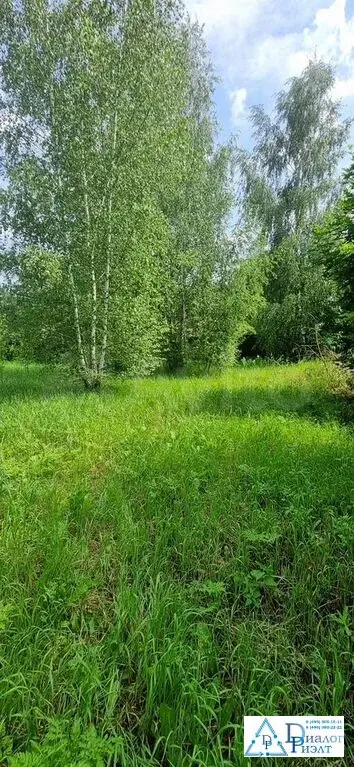 Участок 10,9 сот. (ИЖС) - Фото 7